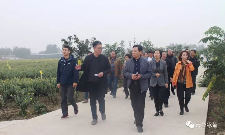 云臺冰菊基地發(fā)生了什么？一批批領導專家團隊前來！